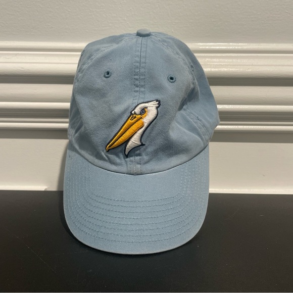 The Franchise Accessories The Franchise Myrtle Beach Pelicans Milb